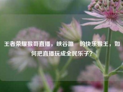 王者荣耀猴哥直播，峡谷蹦跶的快乐猴王，如何把直播玩成全民乐子？