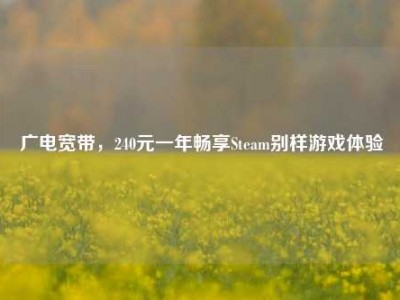 广电宽带，240元一年畅享Steam别样游戏体验
