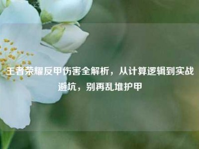 王者荣耀反甲伤害全解析，从计算逻辑到实战避坑，别再乱堆护甲