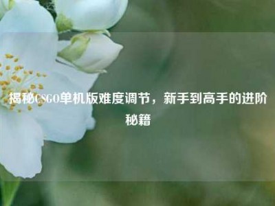 揭秘CSGO单机版难度调节，新手到高手的进阶秘籍