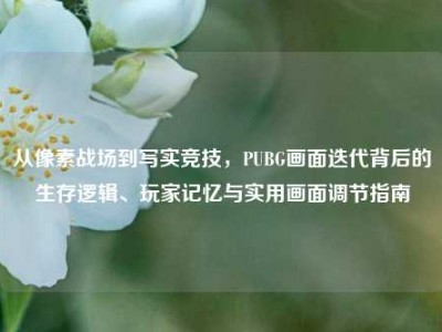 从像素战场到写实竞技，PUBG画面迭代背后的生存逻辑、玩家记忆与实用画面调节指南