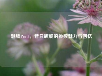 魅族Pro 5，昔日旗舰的参数魅力与回忆