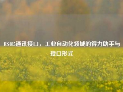 RS485通讯接口，工业自动化领域的得力助手与接口形式
