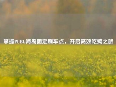 掌握PUBG海岛固定刷车点，开启高效吃鸡之旅