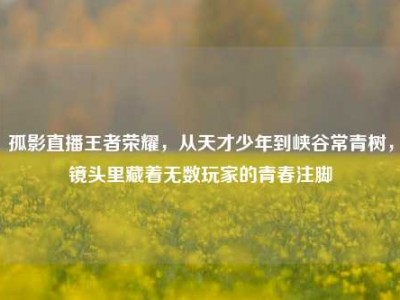 孤影直播王者荣耀，从天才少年到峡谷常青树，镜头里藏着无数玩家的青春注脚