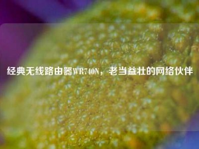 经典无线路由器WR740N，老当益壮的网络伙伴