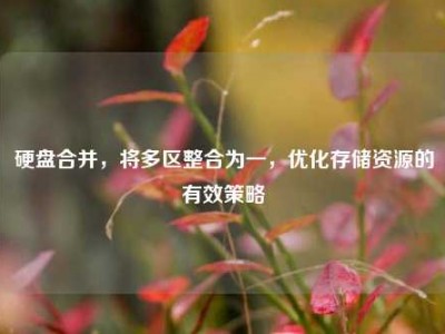 硬盘合并，将多区整合为一，优化存储资源的有效策略