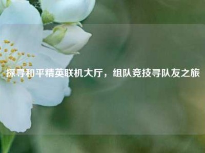 探寻和平精英联机大厅，组队竞技寻队友之旅