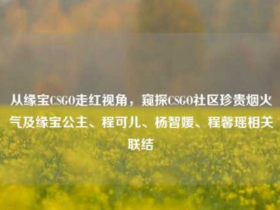 从缘宝CSGO走红视角，窥探CSGO社区珍贵烟火气及缘宝公主、程可儿、杨智媛、程馨瑶相关联结