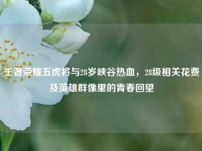 王者荣耀五虎将与28岁峡谷热血，28级相关花费及英雄群像里的青春回望