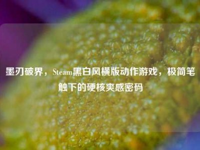 墨刃破界，Steam黑白风横版动作游戏，极简笔触下的硬核爽感密码