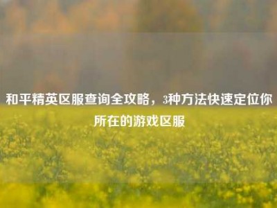 和平精英区服查询全攻略，3种方法快速定位你所在的游戏区服