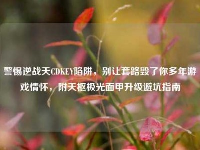 警惕逆战天CDKEY陷阱，别让套路毁了你多年游戏情怀，附天枢极光面甲升级避坑指南