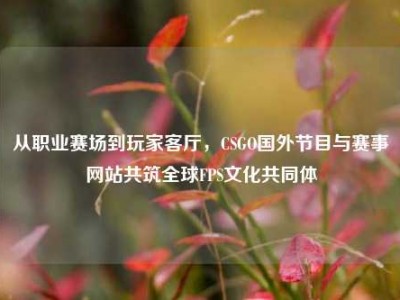 从职业赛场到玩家客厅，CSGO国外节目与赛事网站共筑全球FPS文化共同体