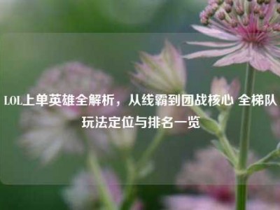 LOL上单英雄全解析，从线霸到团战核心 全梯队玩法定位与排名一览