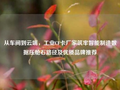 从车间到云端，工业CF卡厂家筑牢智能制造数据压舱石路径及优质品牌推荐