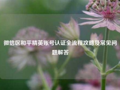 微信区和平精英账号认证全流程攻略及常见问题解答