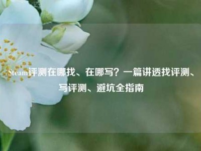 Steam评测在哪找、在哪写？一篇讲透找评测、写评测、避坑全指南
