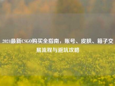 2024最新CSGO购买全指南，账号、皮肤、箱子交易流程与避坑攻略