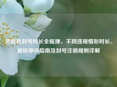 逆战机封号时长全梳理，不同违规情形时长、避坑申诉指南及封号注销规则详解