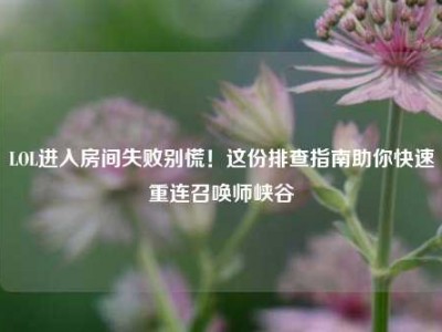 LOL进入房间失败别慌！这份排查指南助你快速重连召唤师峡谷