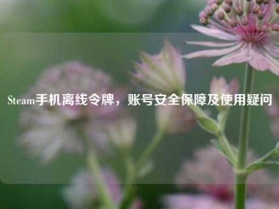 Steam手机离线令牌，账号安全保障及使用疑问