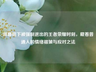 屏幕暗下被强制退出的王者荣耀时刻，藏着普通人的情绪褶皱与应对之法