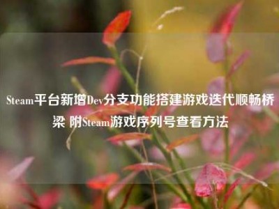 Steam平台新增Dev分支功能搭建游戏迭代顺畅桥梁 附Steam游戏序列号查看方法