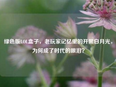 绿色版LOL盒子，老玩家记忆里的开黑白月光，为何成了时代的眼泪？
