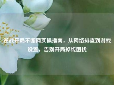 逆战开局不断网实操指南，从网络排查到游戏设置，告别开局掉线困扰