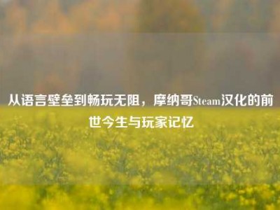 从语言壁垒到畅玩无阻，摩纳哥Steam汉化的前世今生与玩家记忆