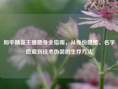 和平精英主播隐身全指南，从身份隐匿、名字隐藏到技术伪装的生存方法