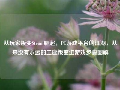 从玩家叛变Steam聊起，PC游戏平台的江湖，从来没有永远的王座叛变进游戏步骤图解