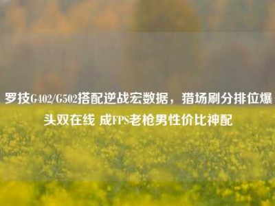 罗技G402/G502搭配逆战宏数据，猎场刷分排位爆头双在线 成FPS老枪男性价比神配