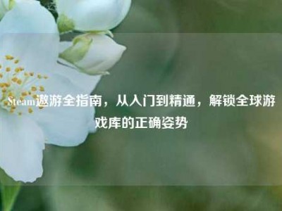 Steam遨游全指南，从入门到精通，解锁全球游戏库的正确姿势