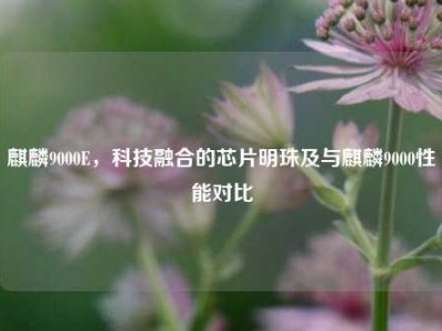 麒麟9000E，科技融合的芯片明珠及与麒麟9000性能对比