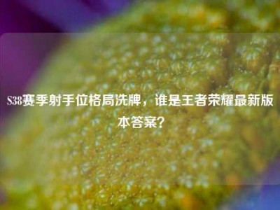 S38赛季射手位格局洗牌，谁是王者荣耀最新版本答案？