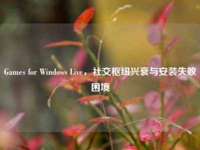 Games for Windows Live，社交枢纽兴衰与安装失败困境