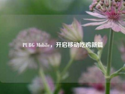 PUBG Mobile，开启移动吃鸡新篇