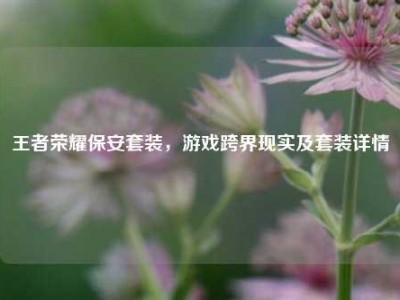 王者荣耀保安套装，游戏跨界现实及套装详情