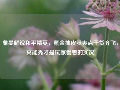 象昊解说和平精英，氪金抽皮肤爽点干货齐飞，高能秀才是玩家爱看的实况