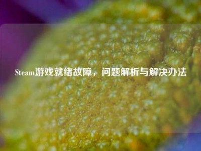 Steam游戏就绪故障，问题解析与解决办法