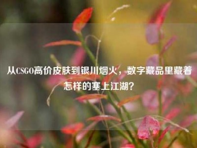 从CSGO高价皮肤到银川烟火，数字藏品里藏着怎样的塞上江湖？