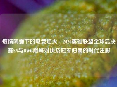 疫情阴霾下的电竞炬火，2020英雄联盟全球总决赛SN与DWG巅峰对决及冠军归属的时代注脚