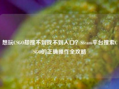 想玩CSGO却搜不到找不到入口？Steam平台搜索CSGO的正确操作全攻略