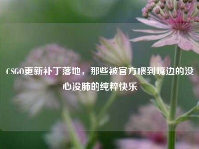 CSGO更新补丁落地，那些被官方喂到嘴边的没心没肺的纯粹快乐