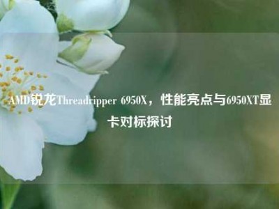AMD锐龙Threadripper 6950X，性能亮点与6950XT显卡对标探讨