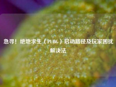 急寻！绝地求生（PUBG）启动路径及玩家困扰解决法