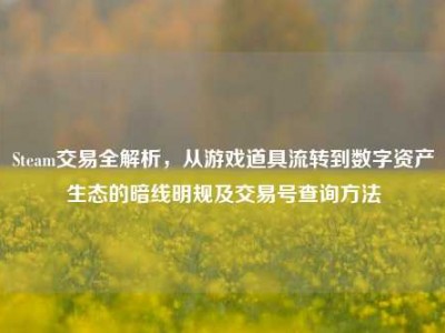 Steam交易全解析，从游戏道具流转到数字资产生态的暗线明规及交易号查询方法