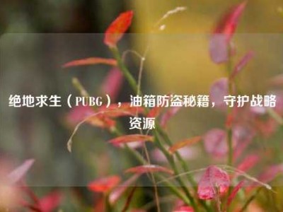 绝地求生（PUBG），油箱防盗秘籍，守护战略资源